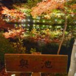 名古屋市東山動植物園の紅葉ライトアップに行ってきました！